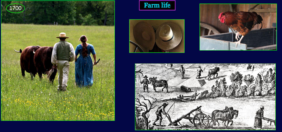 Simple life, 1700